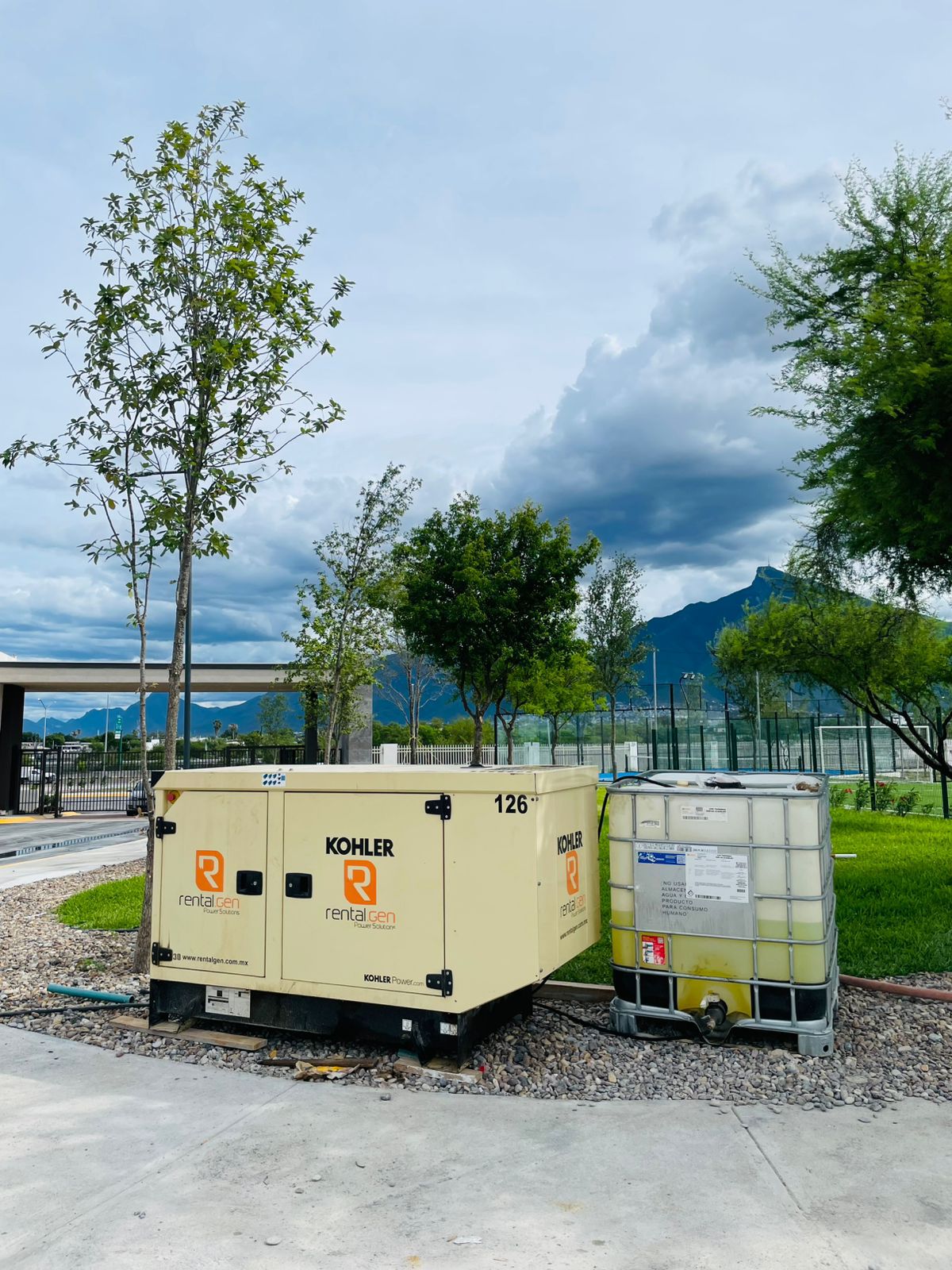 Venta de Plantas de Luz